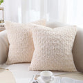 Axyaa Faux Fur Plush Cushion Covers Set - Ultra Soft Sofa Pillow Cases