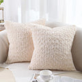 Axyaa Faux Fur Plush Pillow Cases Set of 2