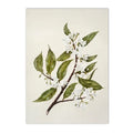 French Country Spring Landscape Canvas Painting Wall Art by Axyaa - Farmhouse Home Decor