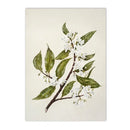 French Country Spring Landscape Canvas Painting Wall Art by Axyaa - Farmhouse Home Decor