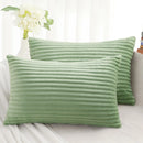 Axyaa Soft Solid Color Flannel Pillowcases - Set of 2