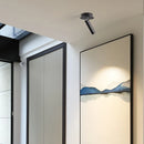Axyaa Metal LED Ceiling Wall Lamp for Art Exhibition Decor