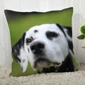 Dalmatians Pillowcase - Axyaa Modern Living Room Decoration