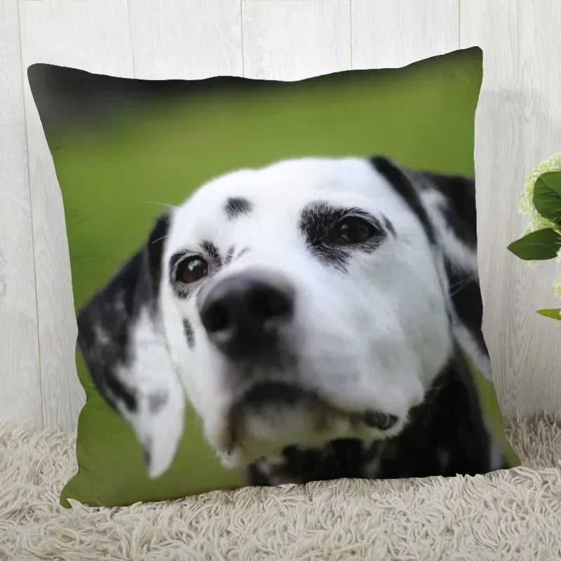 Dalmatians Pillowcase - Axyaa Modern Living Room Decoration