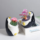 Axyaa Cartoon Penguin Ceramic Flower Pot for Succulents and Plants