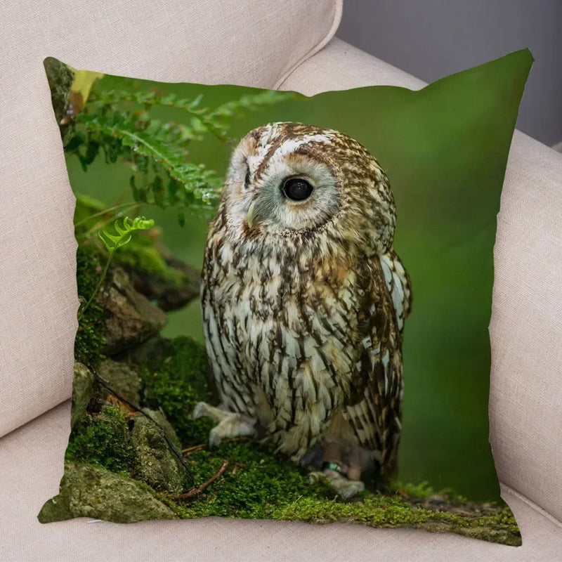 Axyaa Wild Owl Cushion Cover: Decorative Sofa Pillowcase for Home and Children's Room