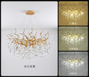 Axyaa Luxury Crystal Glass LED Chandelier for Home Decor and Shop