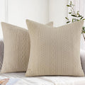 Axyaa Decorative Lumber Throw Pillow Covers - Set of 2