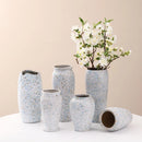 Axyaa Ceramic Vase: Stylish Hydroponic Decor for Home and Hotel Displays