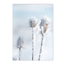 Snow House Nordic Canvas Wall Art by Axyaa for Living Room Decor