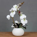 Ceramic Butterfly Orchid Vase for Home Decor Axyaa Orchid Collection