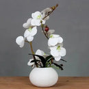 Ceramic Butterfly Orchid Vase for Home Decor Axyaa Orchid Collection