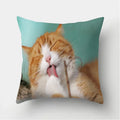 Cute Cat Print Cushion Cover for Sofa Decor by Axyaa