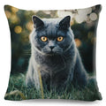 Axyaa Cat Pet Animal Cushion Cover - Cute British Shorthair Russian Blue Pillowcase