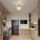 Axyaa Industrial LED Crystal Ceiling Light for Kitchen Living Room