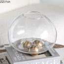 Axyaa Circular Glass Vase Hydroponics Flower Pot for Desk Decoration and Floral Arrangement