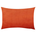 Axyaa Velvet Throw Pillow Cover 30*50cm - Soft & Cozy Home Decor