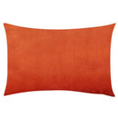 Axyaa Velvet Throw Pillow Cover 30*50cm - Soft & Cozy Home Decor
