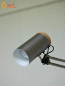 Axyaa Adjustable LED Floor Lamp in Silver Grey for Restaurant, Study, and Bar