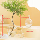 Axyaa Tall Glass Vase for Pampas Grass, Modern Floor Decor for Living Room