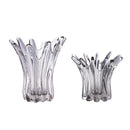 Axyaa Petal Shape Glass Vase for Flower Arrangement and Hydroponics