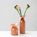 Wide-mouth Hydroponic Glass Vase by Axyaa - Colorful Flower Arrangement Terrarium Home Decor