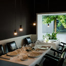 Axyaa LED Chandelier Modern Minimalist Line Indoor Lighting Fixture