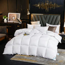 Axyaa Winter Duvet - White Goose Down Core, Double Thickened Quilt