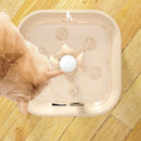Axyaa Pet Automatic Water Fountain With LED Light - Ultra Silent & USB Powered