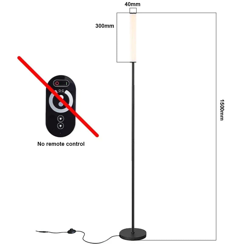 Axyaa Nordic Living Room LED Floor Lamp - Modern, Simple, Infinite Dimming