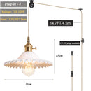 Axyaa Glass Pendant Light E27 Base Adjustable Ceiling Lamp for Living Room