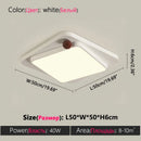 Axyaa Modern LED Ceiling Light, Minimalist Design, Black and White House Lighting