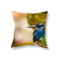 Axyaa Kingfisher Bird Pillowcase for Home Decor and Comfort