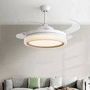 Axyaa 42/48inch LED Ceiling Fan with Light - Multiple Colors - Wholesale Price