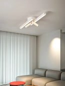 Axyaa Long LED Ceiling Light, Modern Design, Indoor Lighting Fixture