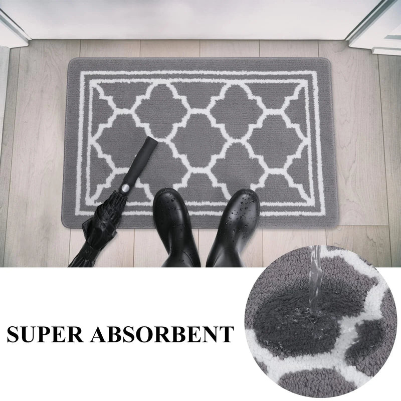 Axyaa Absorbent Anti-Slip Doormat - Indoor/Outdoor Floor Protector Rug