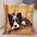 Scottish Border Collie Pillowcase - Axyaa Dog Print Decor Cushion Cover