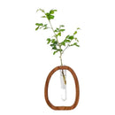 Axyaa Walnut Wood Flower Stand Glass Vase for Creative Arrangements