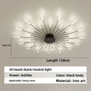 Axyaa Firework Decor LED Ceiling Lights for Living Room Bedroom Kitchen, Nordic Indoor Home Fixture