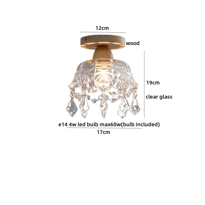 Axyaa Clear Glass LED Ceiling Lights Modern Ceiling Lamp Home Lighting