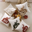 Axyaa Chenille Plush Pumpkin Embroidered Cushion Cover for Home Decor