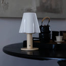 Axyaa Petal Table Lamp: Decorative Dopamine Night Light & Charging Bedside Ornament