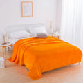 Axyaa Super Soft Reversible Mink Fleece Throw Blanket Twin Queen Size