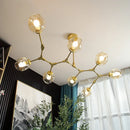 Axyaa Modern Pendant Chandelier Glass Lampshade LED Ceiling Light