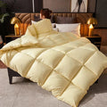 Axyaa Winter Down Comforter - Double/Single Size Warm Quilted Bedding