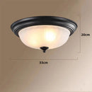 Axyaa Black Bronze Ceiling Light with Frosted Glass Shade & E27 Bulb