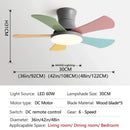Axyaa Modern Nordic Ceiling Fan Light 5-Leaf LED Children Bedroom Decor