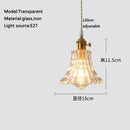 Axyaa Glass Pendant Chandelier Lighting E27 Hang Lamp for Home Decoration