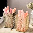 Axyaa Clear Makeup Brush Holder & Cosmetic Organizer Display Rack