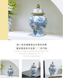 Axyaa Blue White Porcelain Vases Jars Jingdezhen Ornaments Home Decor Crafts